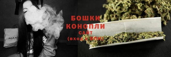 дмт Осташков