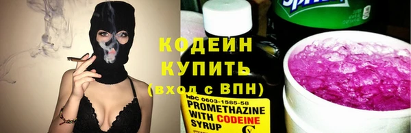 дмт Осташков