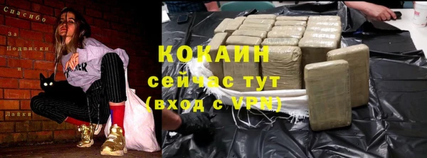 дмт Осташков