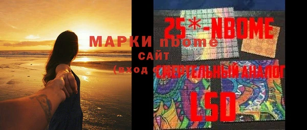 дмт Осташков